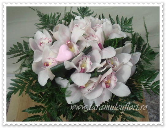 Buchete de flori din orhidee cymbidium 